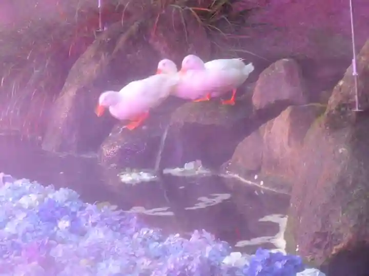 楽法寺(雨引観音)(茨城県)