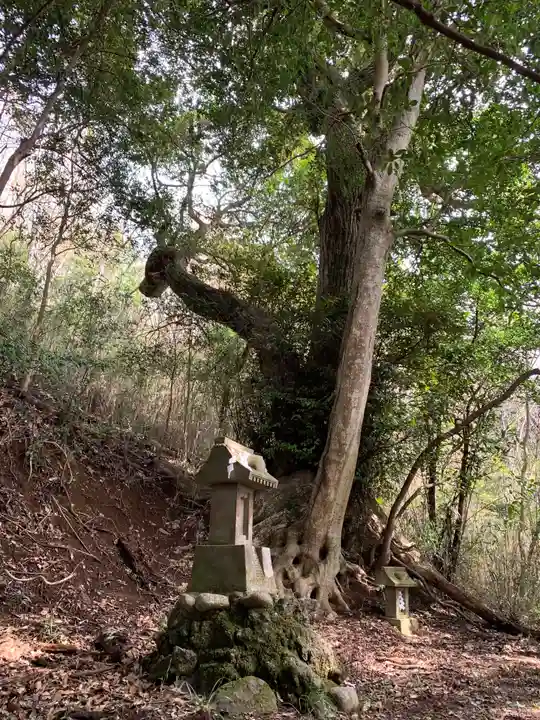 稲荷神社(千葉県)