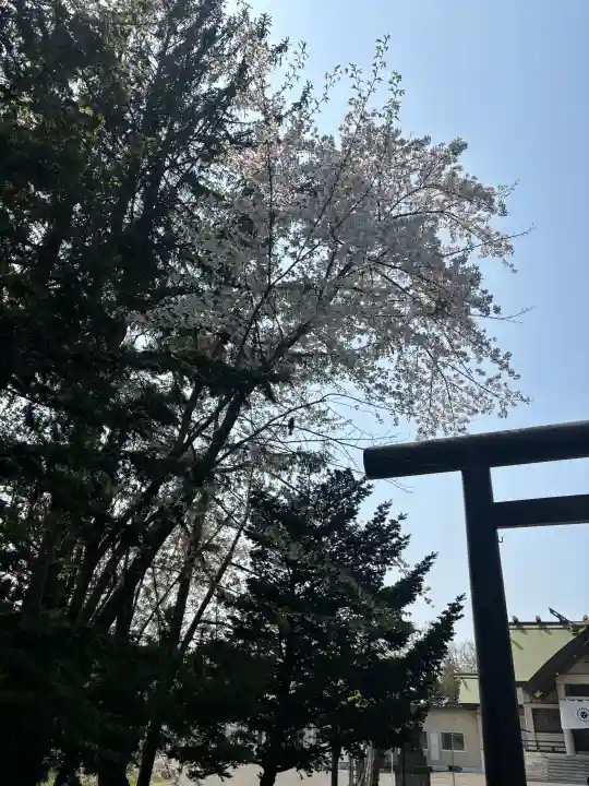 篠路神社の{uncategorized: "未分類", other: "その他", undefined: "問題あり", building: "その他建物", grave: "お墓", sacred_gate: "鳥居", guardian: "狛犬", statue: "像", buddha: "仏像", history: "歴史", nature: "自然", garden: "庭園", animal: "動物", pagoda: "塔", temizu: "手水舎", mountain_gate: "山門・神門", sanctuary: "本殿・本堂", subordinate: "末社・摂社", art: "芸術", scenery: "景色", jizo: "地蔵", ema: "絵馬", goshuin: "御朱印", omikuji: "おみくじ", items: "授与品その他", amulet: "お守り", goshuincho: "御朱印帳", eats: "食事", festival: "お祭り", votive_dance: "神楽", shichigosan: "七五三参", wedding: "結婚式", experience: "体験その他", initially: "初詣", around: "周辺", anti_infection: "感染症対策"}