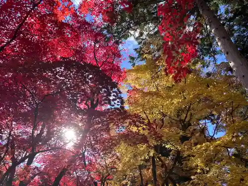 大国寺(兵庫県)