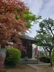 大円寺の建物その他