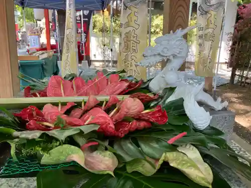 田無神社の狛犬