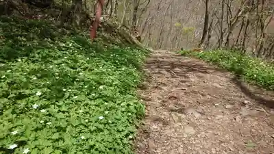 米子不動尊　本坊米子瀧山不動寺(長野県)