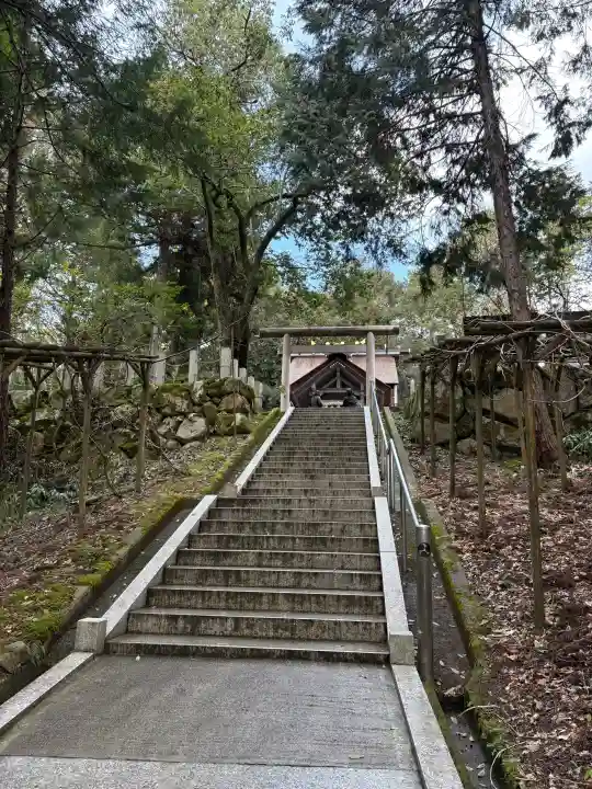 眞名井神社(籠神社奥宮)の{uncategorized: "未分類", other: "その他", undefined: "問題あり", building: "その他建物", grave: "お墓", sacred_gate: "鳥居", guardian: "狛犬", statue: "像", buddha: "仏像", history: "歴史", nature: "自然", garden: "庭園", animal: "動物", pagoda: "塔", temizu: "手水舎", mountain_gate: "山門・神門", sanctuary: "本殿・本堂", subordinate: "末社・摂社", art: "芸術", scenery: "景色", jizo: "地蔵", ema: "絵馬", goshuin: "御朱印", omikuji: "おみくじ", items: "授与品その他", amulet: "お守り", goshuincho: "御朱印帳", eats: "食事", festival: "お祭り", votive_dance: "神楽", shichigosan: "七五三参", wedding: "結婚式", experience: "体験その他", initially: "初詣", around: "周辺", anti_infection: "感染症対策"}