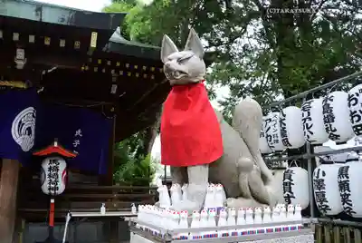 馬橋稲荷神社の狛犬