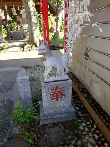 大島稲荷神社の狛犬