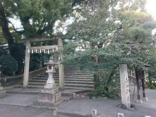 白山神社（新栄）の鳥居