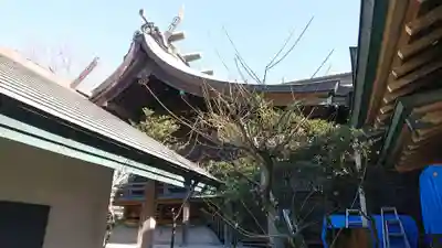 鴨居八幡神社の本殿・本堂