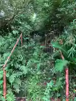 神明神社の自然