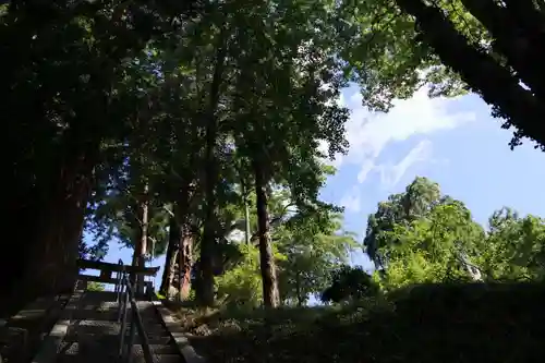 阿久津「田村神社」（郡山市阿久津町）旧社名：伊豆箱根三嶋三社の景色