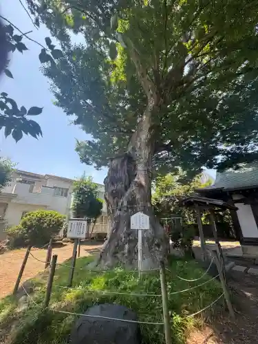 日隅神社(静岡県)