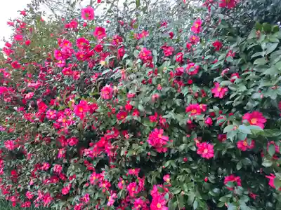 西梅津神明社(京都府)