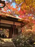 常寂光寺(京都府)