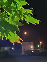 厚別神社(北海道)