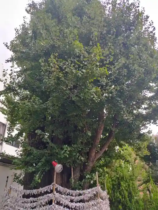 天祖神社(東京都)