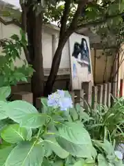 露天神社（お初天神）の自然