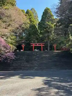 霧島神宮(鹿児島県)