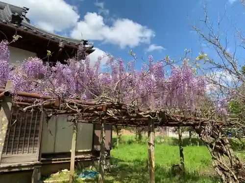 西光寺の庭園