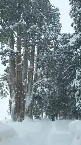 矢放神社(新潟県)