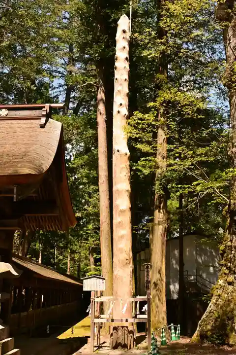 諏訪大社(長野県)