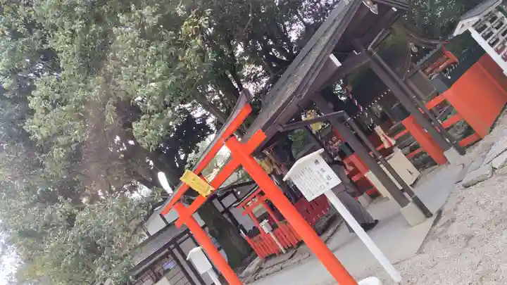 賀茂御祖神社(下鴨神社)(京都府)