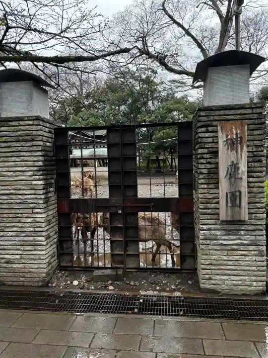 三嶋大社の{uncategorized: "未分類", other: "その他", undefined: "問題あり", building: "その他建物", grave: "お墓", sacred_gate: "鳥居", guardian: "狛犬", statue: "像", buddha: "仏像", history: "歴史", nature: "自然", garden: "庭園", animal: "動物", pagoda: "塔", temizu: "手水舎", mountain_gate: "山門・神門", sanctuary: "本殿・本堂", subordinate: "末社・摂社", art: "芸術", scenery: "景色", jizo: "地蔵", ema: "絵馬", goshuin: "御朱印", omikuji: "おみくじ", items: "授与品その他", amulet: "お守り", goshuincho: "御朱印帳", eats: "食事", festival: "お祭り", votive_dance: "神楽", shichigosan: "七五三参", wedding: "結婚式", experience: "体験その他", initially: "初詣", around: "周辺", anti_infection: "感染症対策"}