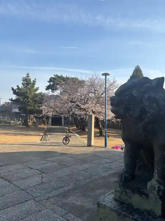 大年神社(兵庫県)