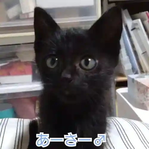 天王山 安楽寺(福井県)