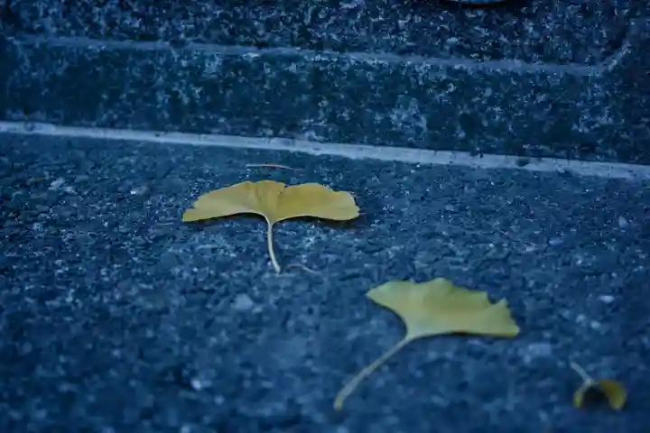 諏訪大社上社前宮(長野県)