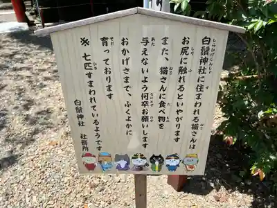 白鬚神社のその他建物