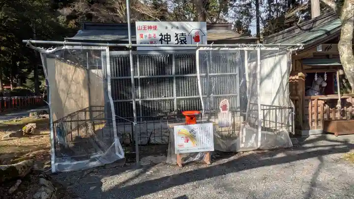 日吉大社(滋賀県)