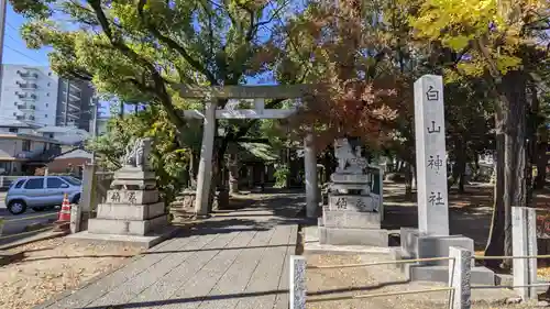 白山神社の鳥居