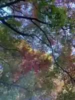 普門寺(切り絵御朱印発祥の寺)(愛知県)