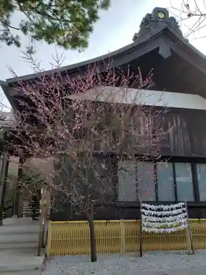 猿田彦神社(東京都)