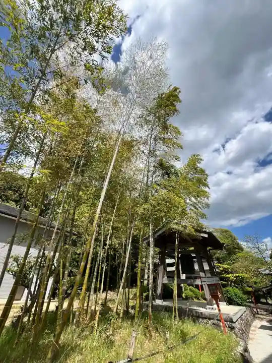 相賀八幡神社の{uncategorized: "未分類", other: "その他", undefined: "問題あり", building: "その他建物", grave: "お墓", sacred_gate: "鳥居", guardian: "狛犬", statue: "像", buddha: "仏像", history: "歴史", nature: "自然", garden: "庭園", animal: "動物", pagoda: "塔", temizu: "手水舎", mountain_gate: "山門・神門", sanctuary: "本殿・本堂", subordinate: "末社・摂社", art: "芸術", scenery: "景色", jizo: "地蔵", ema: "絵馬", goshuin: "御朱印", omikuji: "おみくじ", items: "授与品その他", amulet: "お守り", goshuincho: "御朱印帳", eats: "食事", festival: "お祭り", votive_dance: "神楽", shichigosan: "七五三参", wedding: "結婚式", experience: "体験その他", initially: "初詣", around: "周辺", anti_infection: "感染症対策"}