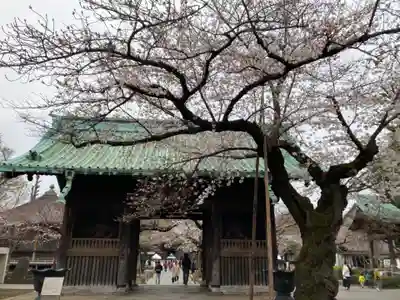 祐天寺の山門・神門