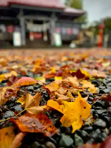 伊達神社(北海道)