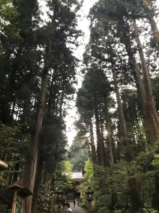 御岩神社の景色