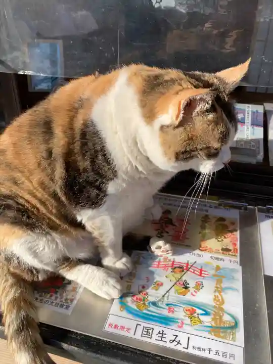 賀茂別雷神社(栃木県)