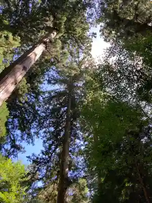 花園神社(茨城県)