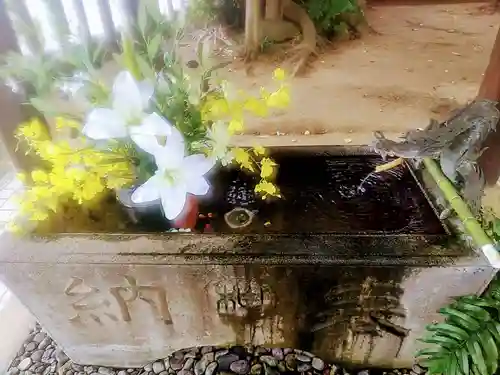 柏諏訪神社(千葉県)