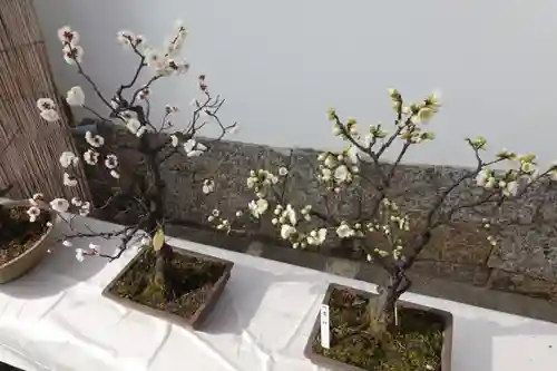 菅原天満宮（菅原神社）のその他建物