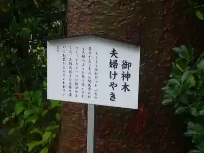 阿佐ヶ谷神明宮のその他建物