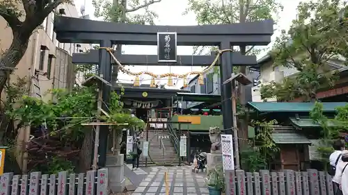 菊名神社の鳥居