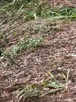 国上寺(新潟県)