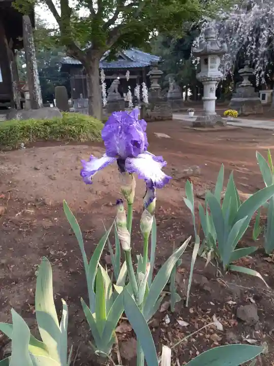 伏木香取神社の自然