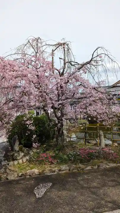真正極楽寺(真如堂)(京都府)
