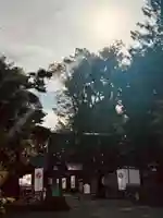 旭川神社の鳥居