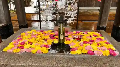 金峯神社の{uncategorized: "未分類", other: "その他", undefined: "問題あり", building: "その他建物", grave: "お墓", sacred_gate: "鳥居", guardian: "狛犬", statue: "像", buddha: "仏像", history: "歴史", nature: "自然", garden: "庭園", animal: "動物", pagoda: "塔", temizu: "手水舎", mountain_gate: "山門・神門", sanctuary: "本殿・本堂", subordinate: "末社・摂社", art: "芸術", scenery: "景色", jizo: "地蔵", ema: "絵馬", goshuin: "御朱印", omikuji: "おみくじ", items: "授与品その他", amulet: "お守り", goshuincho: "御朱印帳", eats: "食事", festival: "お祭り", votive_dance: "神楽", shichigosan: "七五三参", wedding: "結婚式", experience: "体験その他", initially: "初詣", around: "周辺", anti_infection: "感染症対策"}