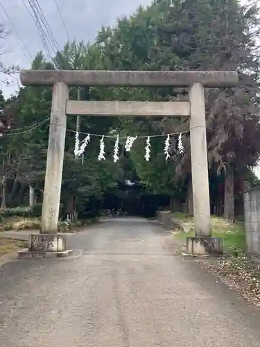 氷川神社の鳥居